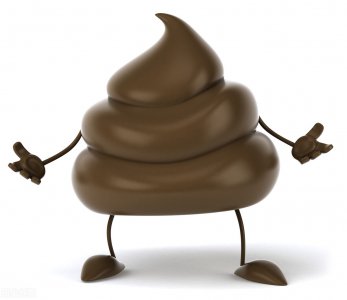 拉的屎是红色的为什么 经常便血是什么原因导致的