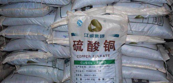 鱼池里的绿藻怎么清除