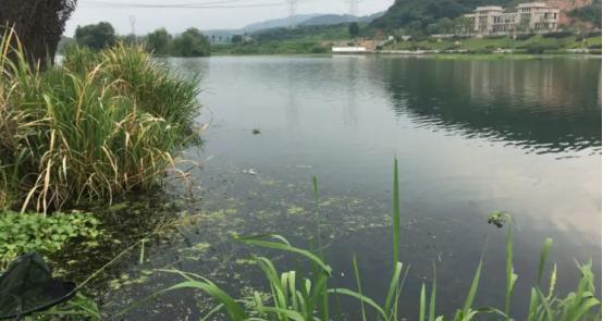 晚春钓鱼要钓多深