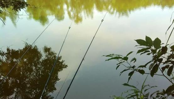 晚春钓鱼要钓多深