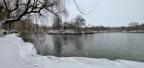 无所从来亦无所去什么意思