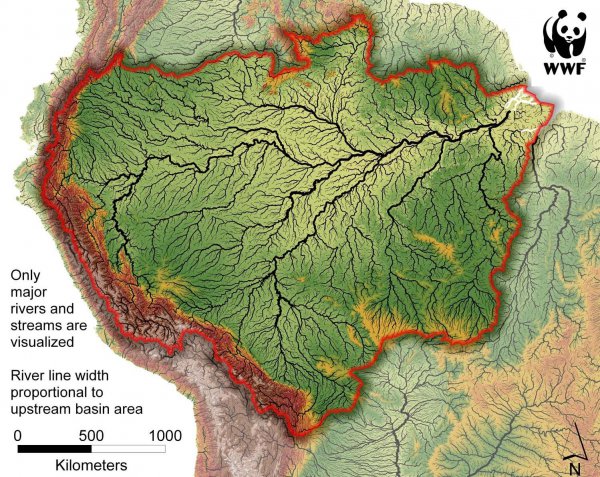 清道夫鱼生命力有多强