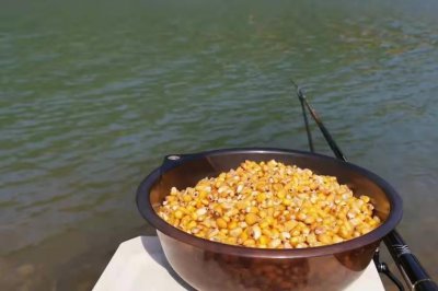 用什么打窝诱草鱼最快 3种钓草鱼最快的打窝方式