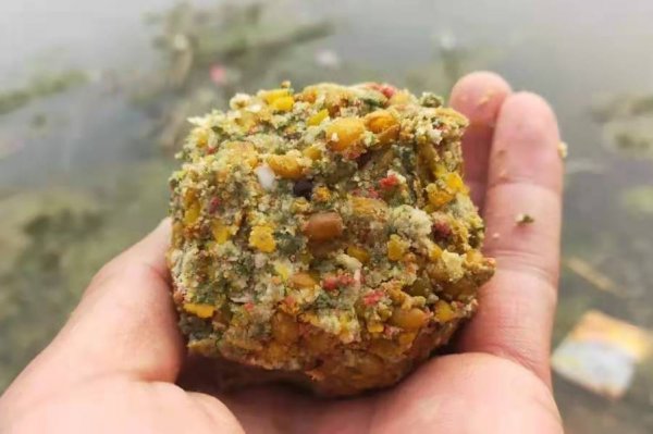 用什么打窝诱草鱼最快