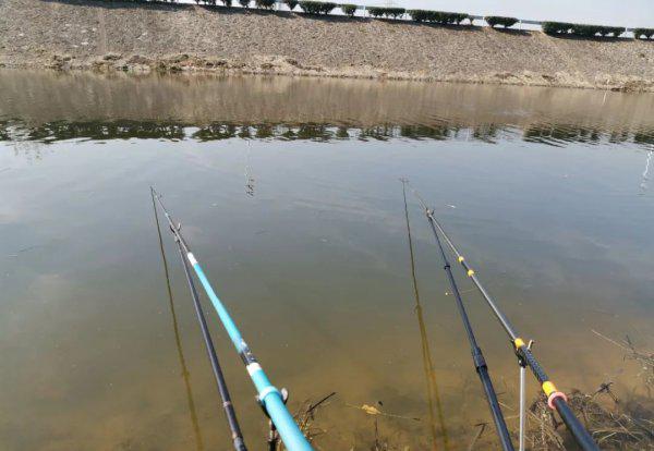 钓鱼需要准备哪些东西