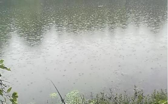 最佳钓鱼天气是什么