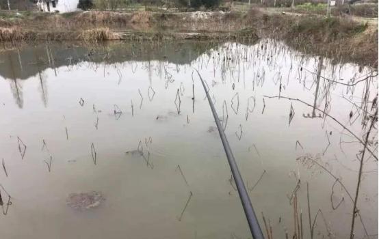 最佳钓鱼天气是什么