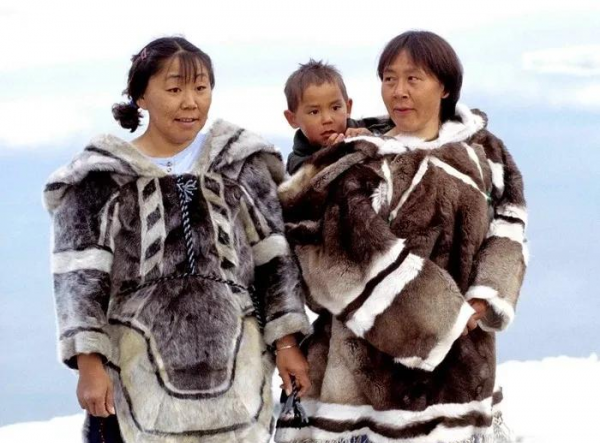 因纽特人属于哪个国家