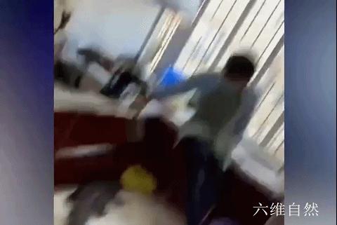鳄鱼冬眠吗什么时候冬眠