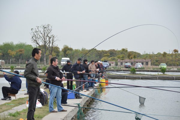 五一钓鱼钓深水还是浅水