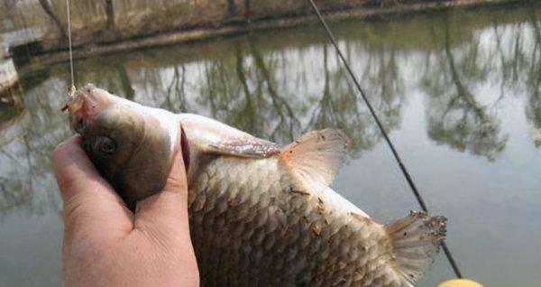 子线不缠绕不打结绑法