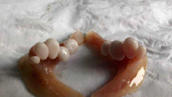 四大家鱼是哪四种