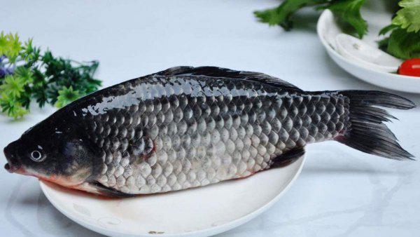 四大家鱼是哪四种