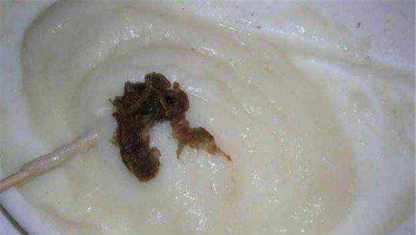 野钓大鲫鱼饵用什么