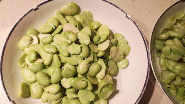 野钓大鲫鱼饵用什么