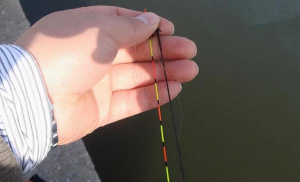 鱼漂吃铅重好还是轻好