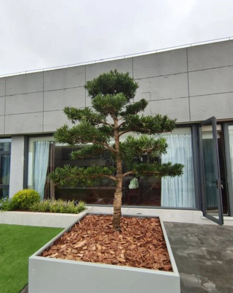 买顶楼房子的利与弊