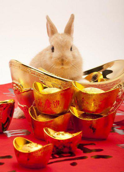 十二生肖这辈子能赚多少钱？