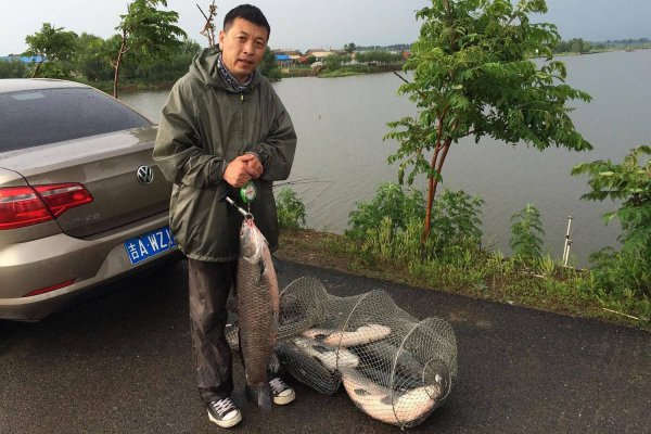 青鱼吃什么食物