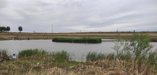 野钓大鲤鱼简单方法介绍