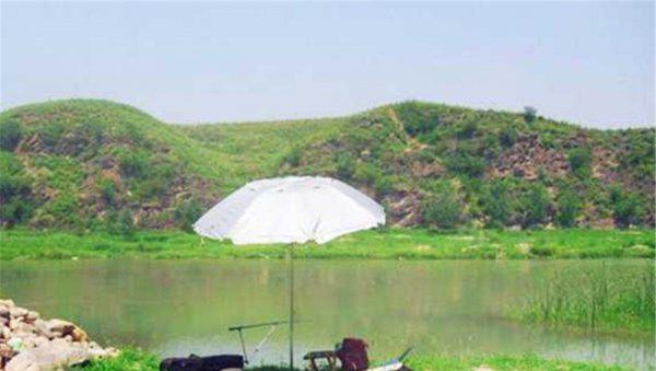 野钓钓鳊鱼一般离底多少