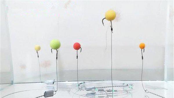 野钓钓鳊鱼一般离底多少