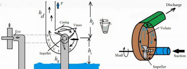 水泵的工作原理是什么