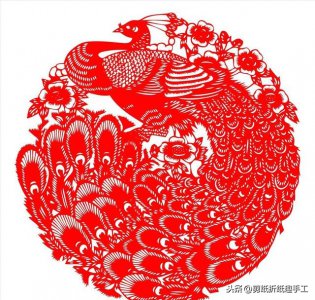 孔雀的寓意及象征 孔雀都有什么寓意它象征着什么