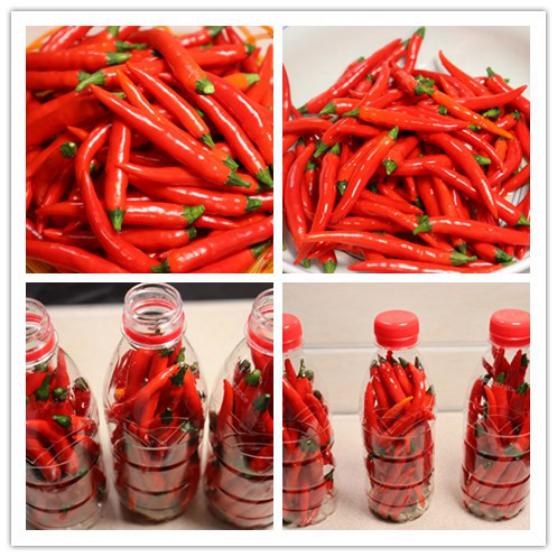 小米椒怎样保存放的时间更久