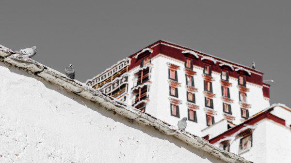 中国最适合养老居住的前十名城市