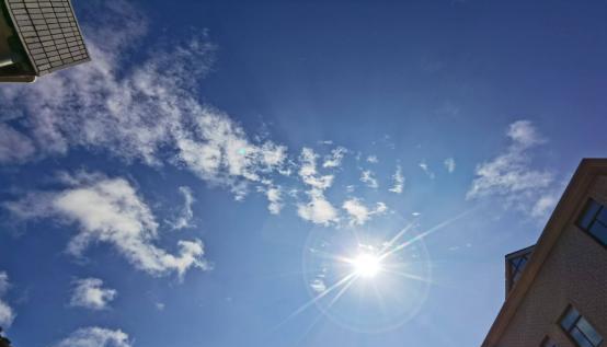 野钓阴天钓鱼口好吗