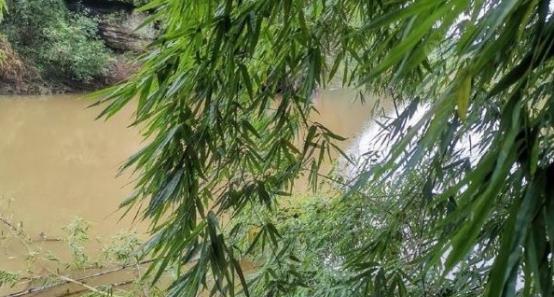 野钓阴天钓鱼口好吗