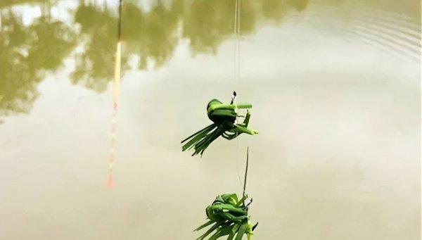 河里草鱼用什么钓最好