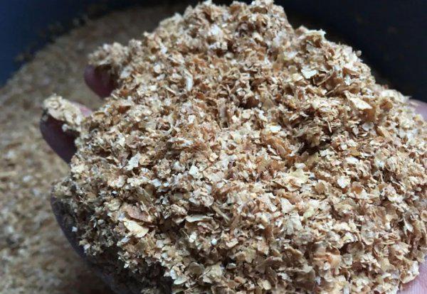 河里草鱼用什么钓最好