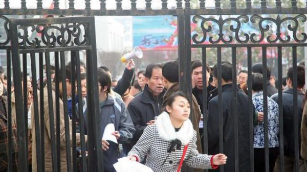 报考事业单位需要什么条件和学历