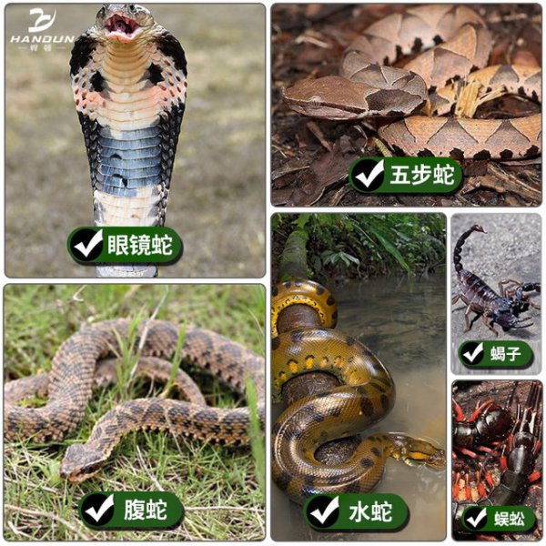 蛇怕鹅是真的吗原因是什么