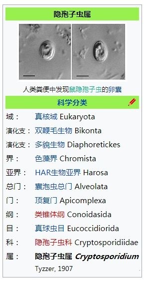 蛇怕鹅是真的吗原因是什么