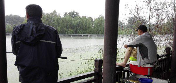 雨后钓鱼鱼口好吗为什么