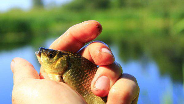 雨后钓鱼鱼口好吗为什么