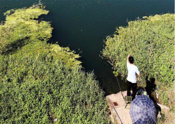 经常钓鱼的好处有哪些