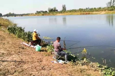 一般河里的大鲤鱼在什么位置 夏季钓鲤鱼的最佳钓点