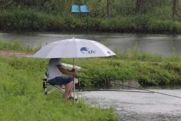 一般河里的大鲤鱼在什么位置