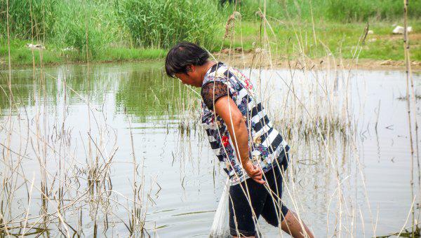 田螺怎么养殖注意事项