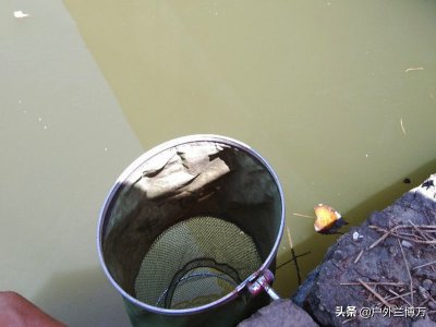 新手钓鱼入门基本知识 初学钓鱼用什么鱼竿比较好