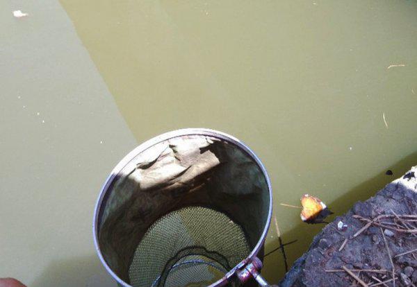 新手钓鱼入门基本知识