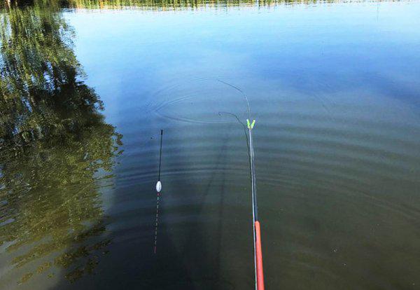 新手钓鱼入门基本知识