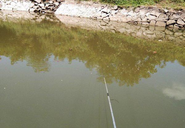 新手钓鱼入门基本知识