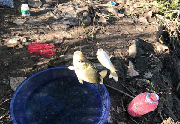 新手钓鱼入门基本知识