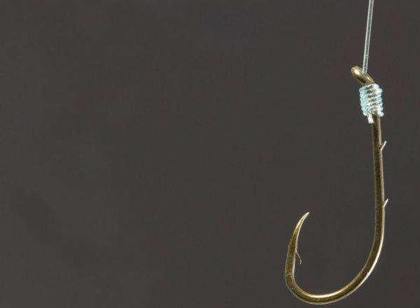 新手如何开饵料才算成功