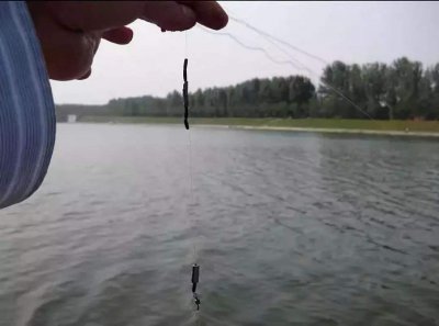 野钓调几钓几最好为什么 野钓时调几钓几最为合适